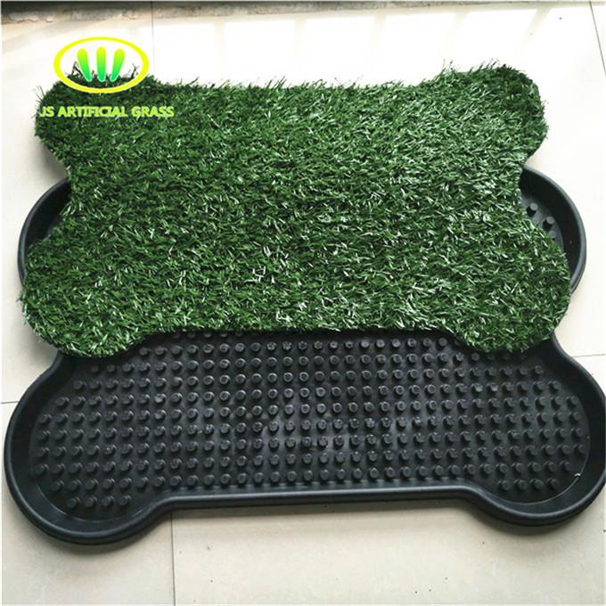 Best Artificial Turf For Dogs