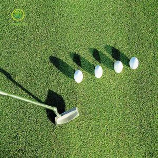 Sintetični Turf Za golf