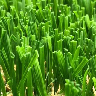 W Oblika 50 mm Krajinsko travo USA