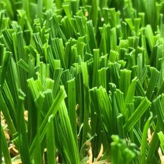 W Oblika 50 mm Krajinsko travo USA