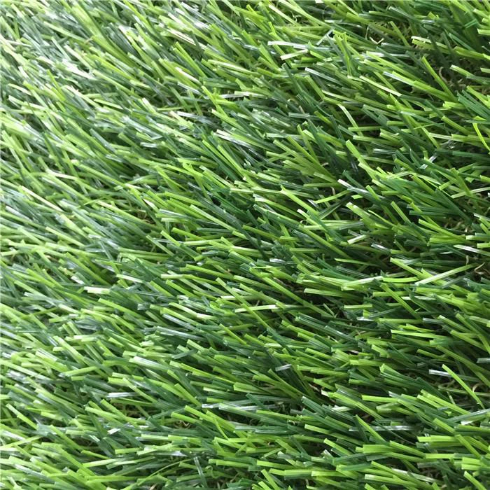 putting green turf2