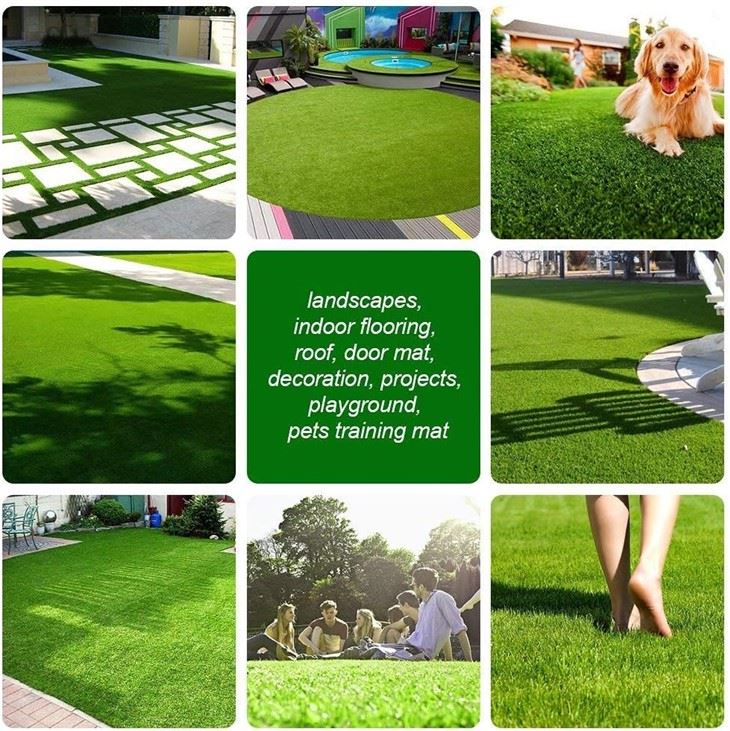 Outdoor Lawn Landscape